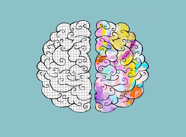 Hemisferio Derecho Izquierdo Del Cerebro Humano Ilustración Conceptual Distribución Funciones —  Fotos de Stock