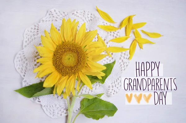祖父母节快乐 在白色木质背景上的美丽的黄色向日葵特写 Bocho 式编织桌布 — 图库照片