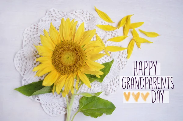 Gelukkig Omadag Close Van Mooie Gele Zonnebloem Witte Houten Achtergrond — Stockfoto