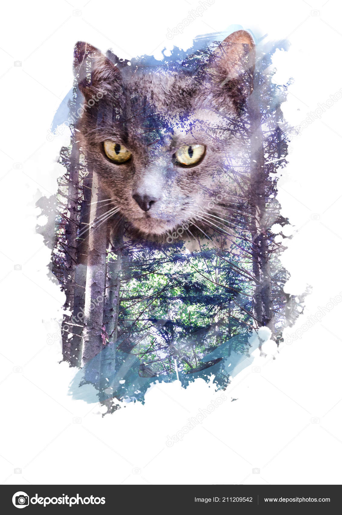 Photo Collage Image Russian Blue Cat Coniferous Forest Double Exposition Stock Photo C Liyavihola 211209542