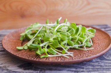 Ayçiçeği fide ahşap arka plan üzerinde bir kil tabakta. Organik microgreens.