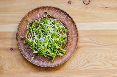 Ayçiçeği fide ahşap arka plan üzerinde bir kil tabakta. Organik microgreens.