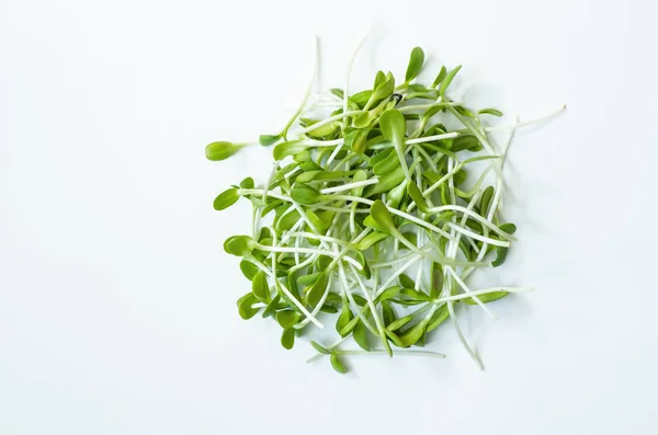 Micronutriënt Zonnebloem Zaailingen Live Super Voedsel Een Witte Achtergrond — Stockfoto