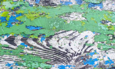 Soluk turkuaz kabuklu, klasik ahşap arka plan. Eski ahşap doku yüzeyi. Kırık renk boyalı eski püskü planklar..