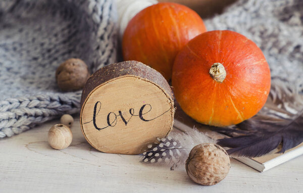 Состав из тыквы, грецких орехов, перьев, дерева и трикотажа. Осенние сезонные фото на День Благодарения, Хэллоуин
