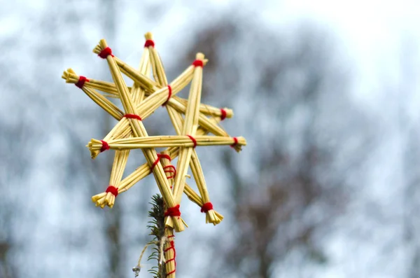 ストロー スター 背景をぼかした写真に分離 わらで作られたクリスマス ツリーの装飾 — ストック写真