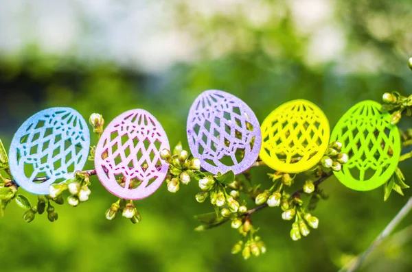 Huevos de Pascua hechos de fieltro de colores con ramas florecientes de árbol frutal . — Foto de Stock