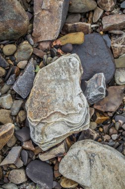 Dağ nehrinin kıyısındaki taş parçası. Doğal fotoğraf..