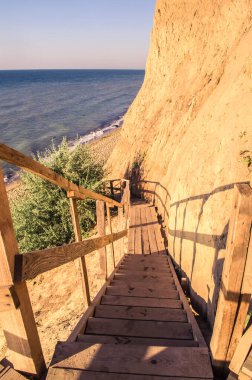 Denize kadar uzanan manzara. Resimli yaz rahatlama fotoğrafı..