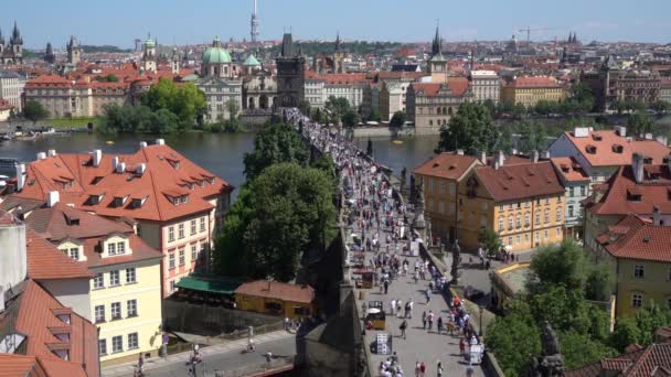 Prague Czech Republic May 2018 Tourists Walk Charles Bridge Prague — Stock Video