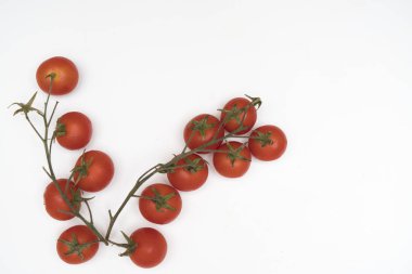 bir sürü beyaz bir tablo üzerinde domates