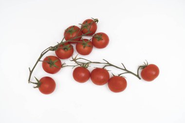 bir sürü beyaz bir tablo üzerinde domates