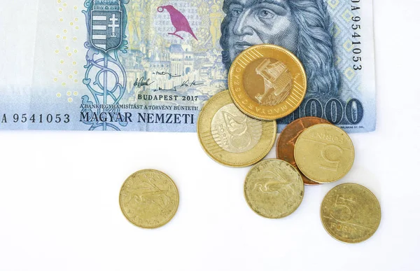 Több Ezer Magyar Florin Bankjegyeket Néhány Érme — Stock Fotó