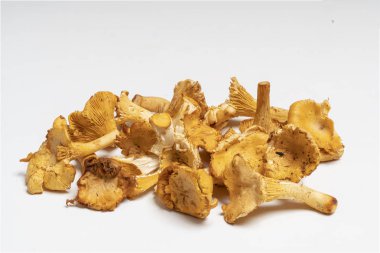 Cantharellus cibarius mantar (Cantharellus cibarius) beyaz bir yüzeye   