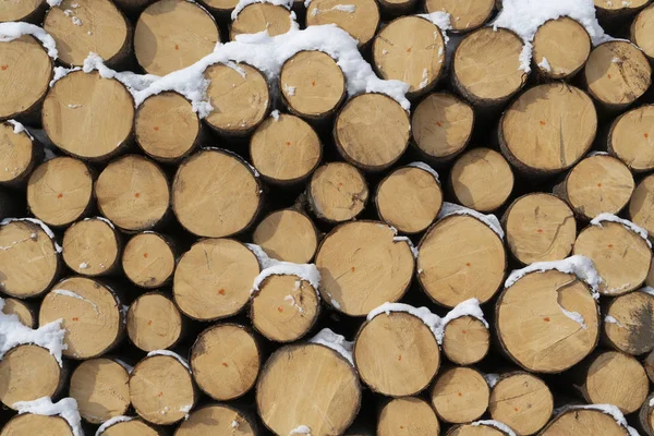 Fir Logs Cut Stacked Edge Forest Winter Trentino Alto Adige — Stock Photo, Image