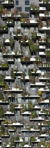 ミラノ イタリア 2019 ミラノのイゾラの近所でステファノ ボエリの建築家によって設計された 垂直の森 と呼ばれる — ストック写真