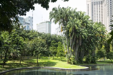 Kuala Lumpur, Malezya. Ocak 2019. göle Klcc Park Kuala Lumpur, Malezya
