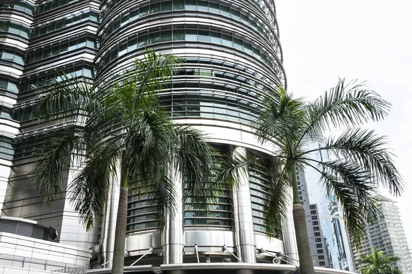 Kuala Lumpur Malajsie Ledna 2019 Architektonická Pohled Petronas Towers Kuala — Stock fotografie