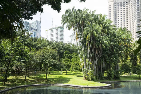 쿠알라룸푸르 말레이시아입니다 2019 월입니다 쿠알라룸푸르 말레이시아에서 Klcc 공원에 — 스톡 사진
