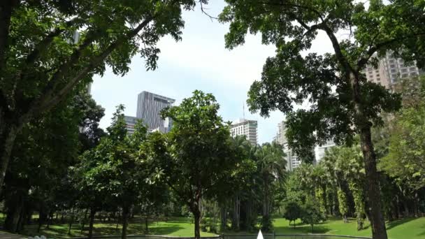 Куала Лумпур Малайзия Январь 2019 Года Вид Деревья Парке Klcc — стоковое видео