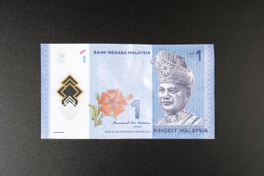 Siyah bir yüzey üzerinde 1 Malezya Halkası banknotu