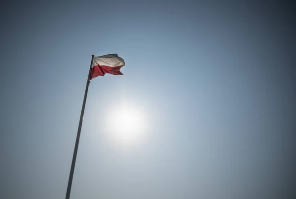 Poolse vlag — Stockfoto