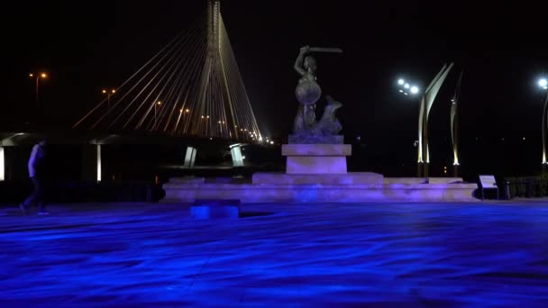 Warsaw Poland April 2019 Statues Mermaid Bank Vistula River Night — Stock Video