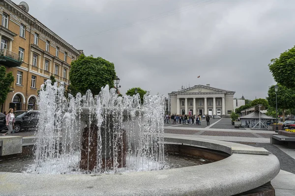 Fuente Plaza del Ayuntamiento en Vilniu — Foto de Stock