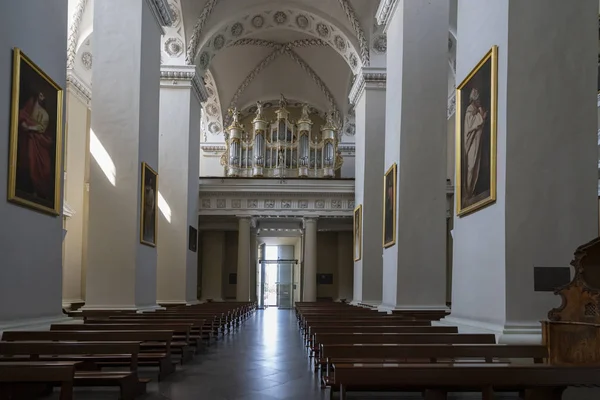 Ο καθεδρικός ναός του Βίλνιους — Φωτογραφία Αρχείου