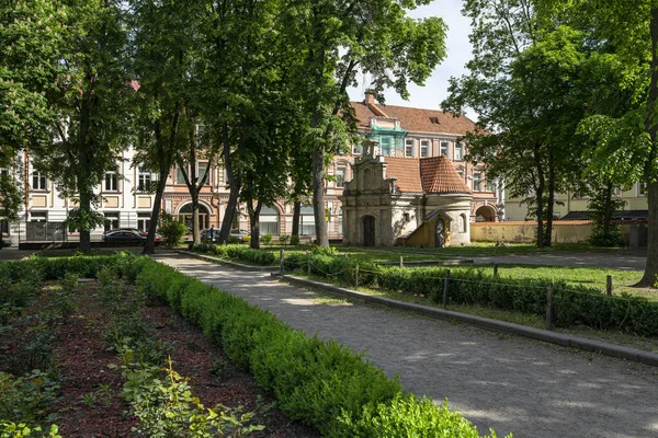 Vilnius heliga kyrkan av antagandet av Jungfru Maria, Franci — Stockfoto