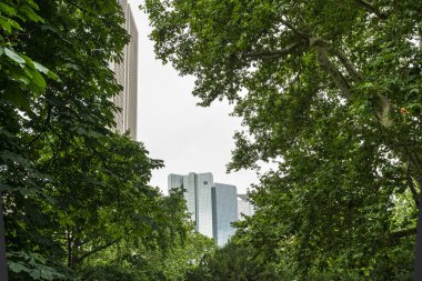 Frankfurt'taki Rothschild parkı
