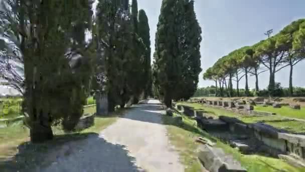 Aquileia Regione Friuli Venezia Giulia Italia Luglio 2019 Veduta Iperlapsa — Video Stock