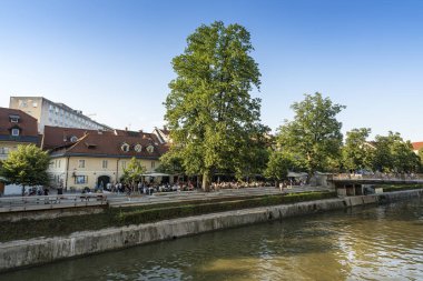 Ljubljana nehir kıyısında Barlar