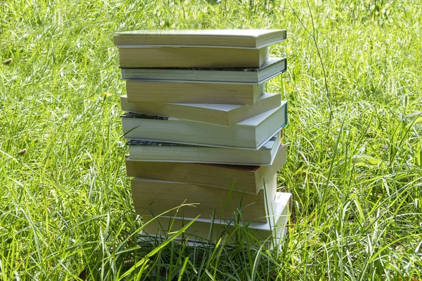 草の上に本を積み重ねる — ストック写真