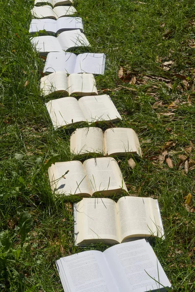 草の上に本を開く — ストック写真