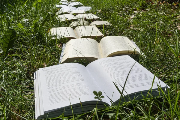 草の上に本を開く — ストック写真