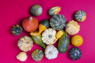 Birkaç küçük balkabağı