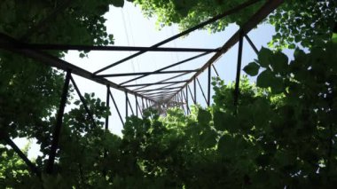Aşağıdaki bir parkın ağaçlarının arasında bir elektrik direği.
