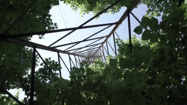 Ein Strommast Zwischen Den Bäumen Eines Parks Von Unten — Stockvideo