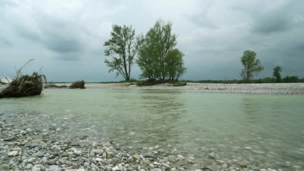 Panoramavy Över Floden Tagliamento Regionen Friuli Venezia Giulia Italien — Stockvideo