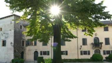 Strassoldo, İtalya. 11 Eylül 2020. Güneş, ortaçağ köyünün meydanındaki ağacın tepesinden geçiyor.