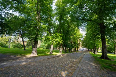 Helsinki, Finlandiya. 27 Ağustos 2025. Şehir merkezindeki gözlemevi dağ parkının panoramik görüntüsü