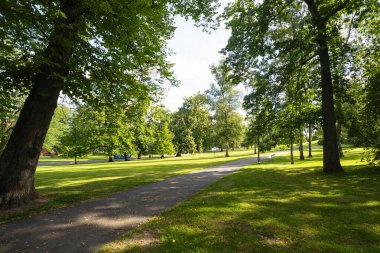 Helsinki, Finlandiya. 27 Ağustos 2025. Şehir merkezindeki gözlemevi dağ parkının panoramik görüntüsü
