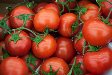 Piyasada taze domates