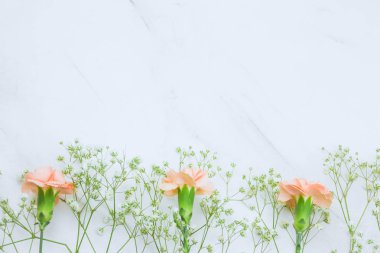 Gypsophila karanfil çiçek frametop vizyon ve üzerinde bir mermer arka plan kopya alanı