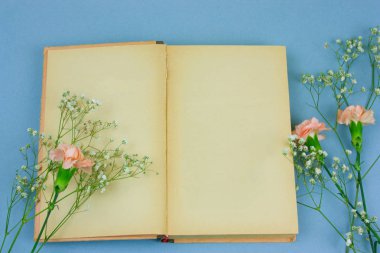Üstten Görünüm pastel mavi arka plan üzerinde boş çarşafları ve çiçeklerle vintage kitap