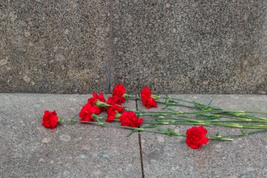 mermer bir arka plan üzerinde kırmızı çiçekler karanfil