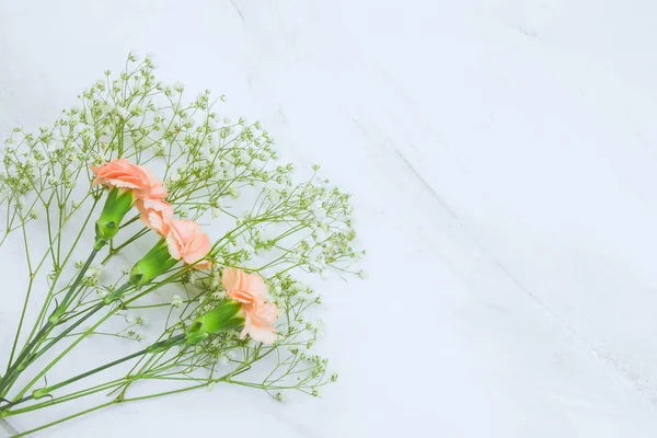 Gypsophila Karafiát Květiny Frametop Pohled Místa Kopie Béžové Pozadí — Stock fotografie