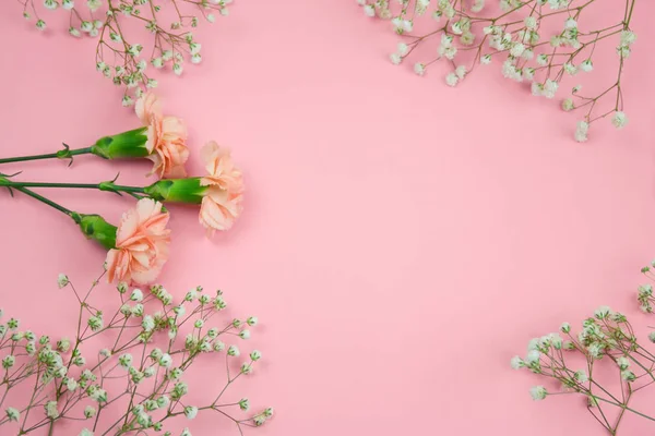 Gypsophila Karafiát Květiny Rámec Pohled Shora Růžovém Pozadí Kopie Prostoru — Stock fotografie
