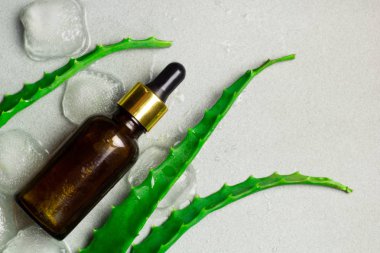 Üstten Görünüm cosmitic ürün kahverengi cam şişe aloe vera ve buz ile bir gri arka plan kopya alanı